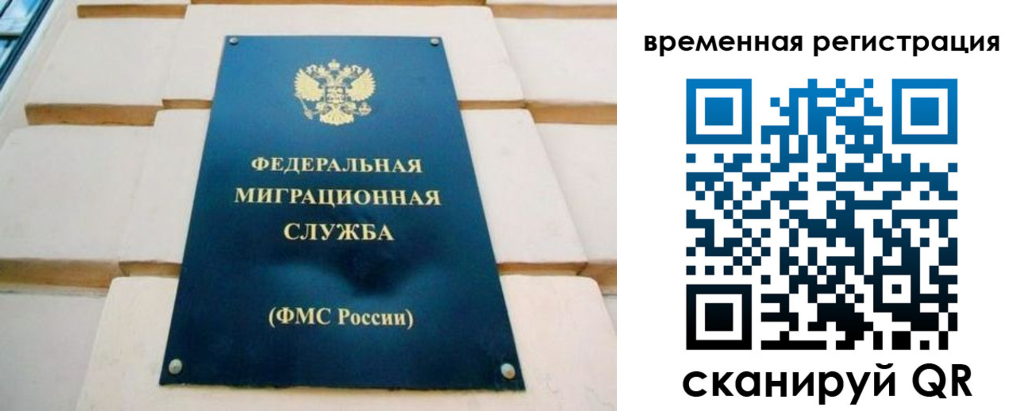 прописка гарантия в Славгороде